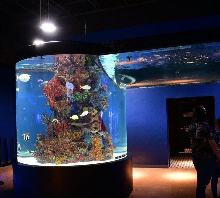 Electric City Aquarium & Reptile Den (Scranton,&nbspPA)